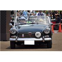 tcf150524 (3).JPG